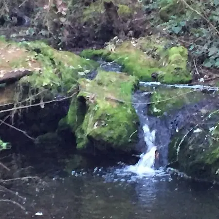 Con Piscina En La Naturaleza * Santa Maria De Trassierra